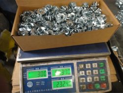 कारखाना दृश्य